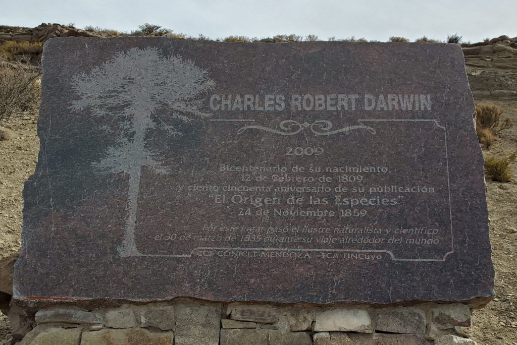 "Darwin Passed By Here"
