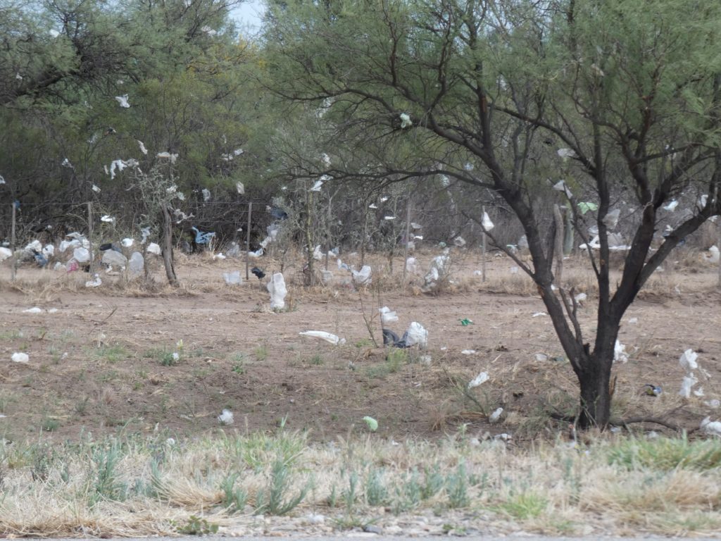 Windblown plastic bag mess near a transfer station, , San Luis province, Argentina