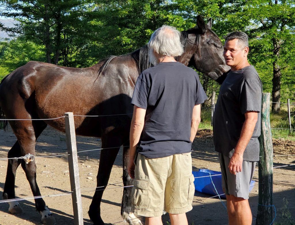 Alberto and one of his horses