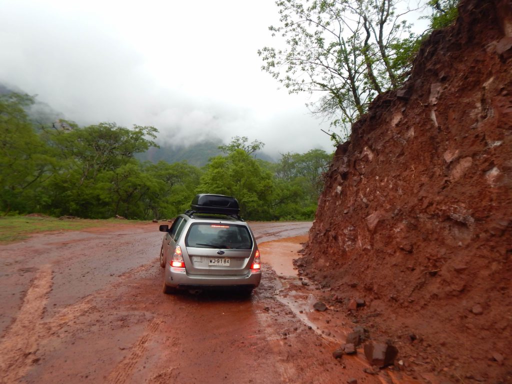 Nov 2018 Calilegua National Park, Argentina. "Maybe we don't need to fight our way all the way to the dead end of this road."