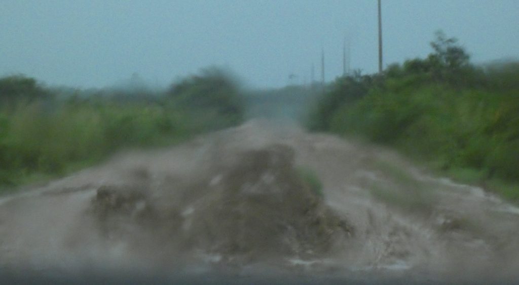 Driving the increasingly muddy Transpantaneira shortly before we decided we had to overnight in the car.