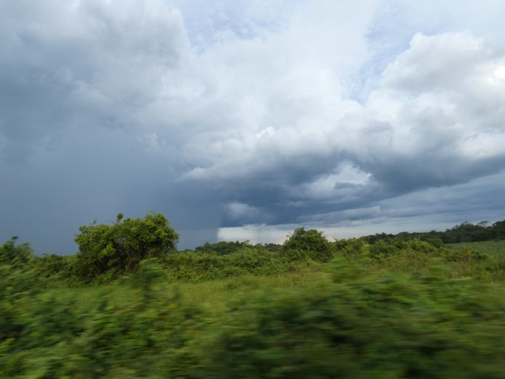 Trying to outrun heavy rain on the Transpantaneira highway. We didn't.