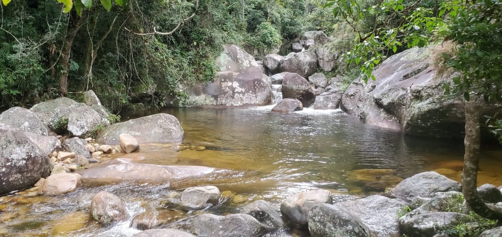 Pool along trail, Serra dos Orgãos N P