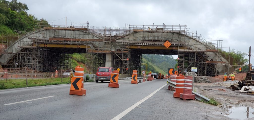 Elaborate overpass being built, grudgingly, to connect two tamarin habitats
