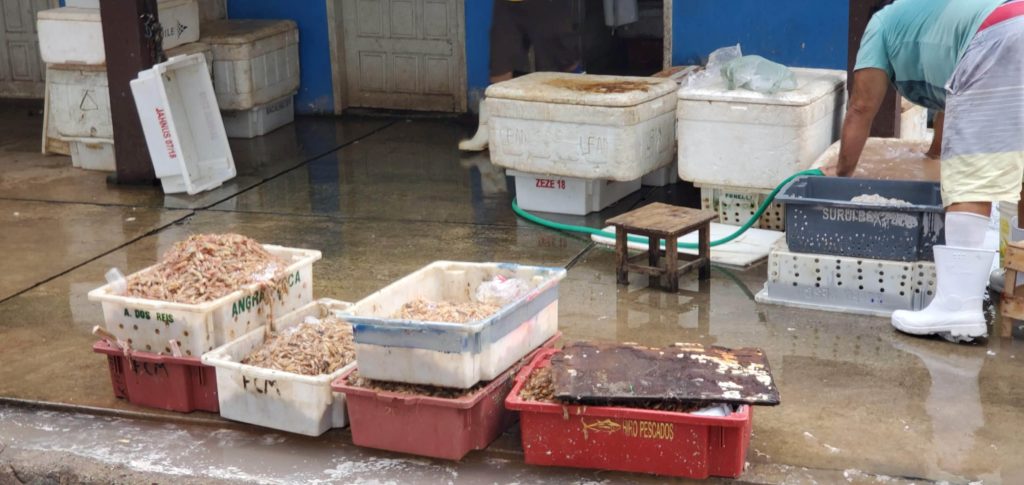 Fish processing at Farol do São Thomé